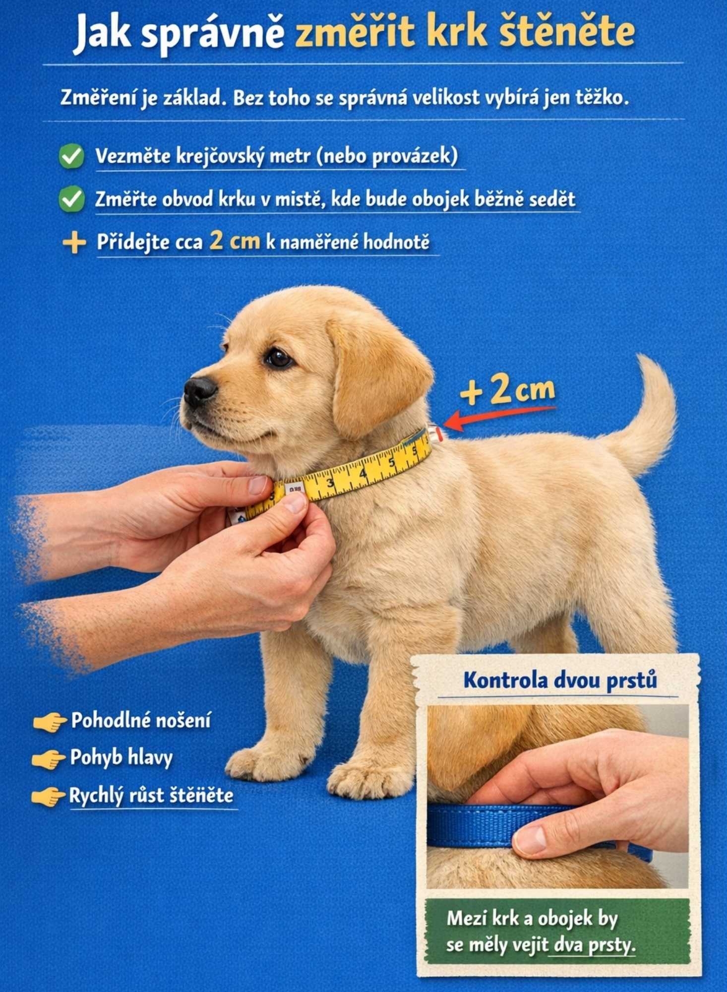 jak spravne zmerit krk štěněte